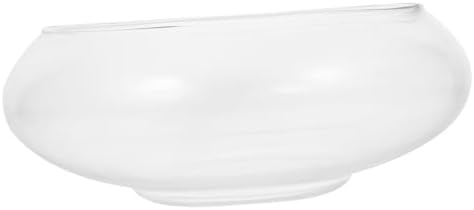 BESPORTBLE Glass Plant Pot Water Container for Flowers and Green Plants by BESPORTBLE