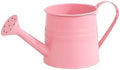 Metal Watering Can for Indoor 1L Garden Sprinkling with Ergonomic Handle Outdoor Care Tool (One Size) by Unknown