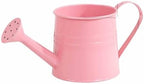 Metal Watering Can for Indoor 1L Garden Sprinkling with Ergonomic Handle Outdoor Care Tool (One Size) - Image 3
