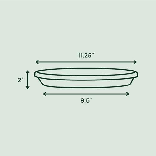 Bloem Terra Plastic Saucer Tray for 12" Terra Planter, Vanilla Bean, 6-Pack - Image 3