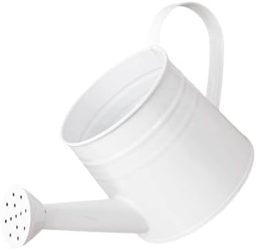 1L Retro Metal Painted Watering Can with Long Spout & Handle - Image 7