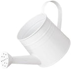 1L Retro Metal Painted Watering Can with Long Spout & Handle - Image 2