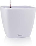 Dexceder 18x17 Self Watering Planter with Wheels (White Matte) by Dexceder
