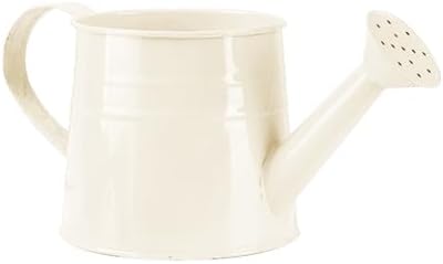 Metal Watering Can for Indoor Outdoor Garden Modern Minimalist Design with Detachable Sprinkler Head Ergonomic Comfort Grip Handle Efficient Irrigation Tool for Flower Lovers and (A, 24.5X11.5X11CM) - Image 3