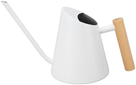 Tyenaza Watering Can Indoor Plants, Stainless Steel Long Spout Watering Pot with Wooden Handle, Modern Decorative Watering Pot for Garden Bonsai Indoor Outdoor (White) by Tyenaza