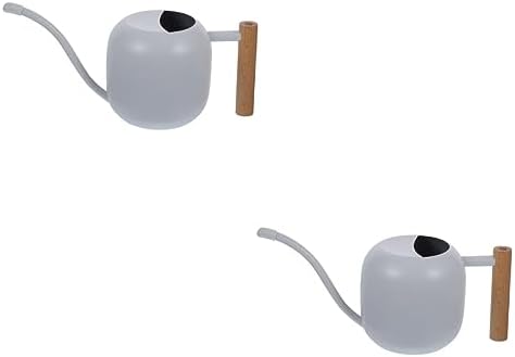 Happyyami 2pcs Watering Can Indoor Plants Succulent Plants Small Plant Misters Pot Watering Flower Kettle House Plants Outdoor Plants Metal Household Watering Pot White Stainless Steel by Happyyami