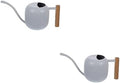 Happyyami 2pcs Watering Can Indoor Plants Succulent Plants Small Plant Misters Pot Watering Flower Kettle House Plants Outdoor Plants Metal Household Watering Pot White Stainless Steel by Happyyami