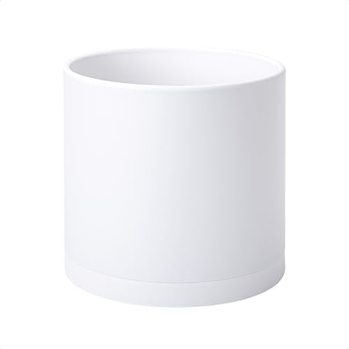D'vine Dev Plastic Planter Pot with Saucer, 10 in, White Color, 74-X-A-2 by DvineDevPlanterPotsandStand