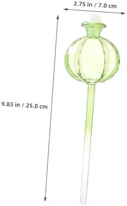 BESPORTBLE 4pcs Self Watering Bulbs Clear Glass Plant Watering Globes for Automatic Plant Care Cactus Shaped Easy to Use Decorative - Image 6