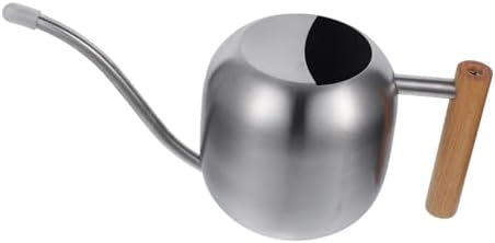 Mikikit Small Stainless Steel Watering Can with Long Spout for Indoor Plants Garden Kettle Tool with Handle Practical Sprinkling Can for Office and Home Gardening by Mikikit