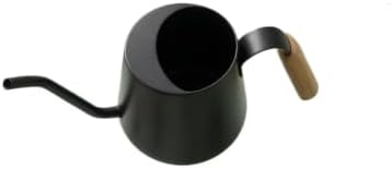 Long-Spout Metal Watering Can Gooseneck Watering Can Minimalist Stainless Steel Watering Can Water Pitcher Polished Finish Compact - Image 2