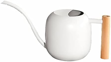 Can Indoor Plants Metal Stainless Steel with Long Spout for House Bonsai Garden Flower Decorative(D) by Unknown