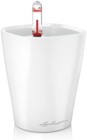 Lechuza MINI-DELTINI Cream White High Gloss, Self-Watering Small Indoor Planter, H5.1 L3.9 W3.9, 0.4L in by LECHUZA