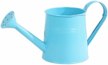 Watering Can Outdoor, 0.3 Gallon Long Spout Small Galvanized Metal Watering Can Outdoor with Handle and Sprinkler Head,Cute Metal Watering Can for Garden House Plants Flower Bonsai Indoor by KELINFONG
