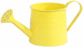 Watering Can Outdoor, 0.3 Gallon Long Spout Small Galvanized Metal Watering Can Outdoor with Handle and Sprinkler Head,Cute Metal Watering Can for Garden House Plants Flower Bonsai Indoor by KELINFONG