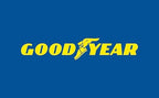 Goodyear m Garden Hose, Blue, PVC 25 metros - Image 7