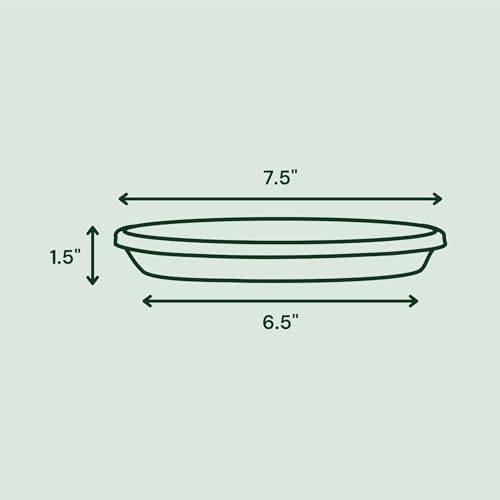 Bloem Terra Plastic Saucer Tray for 8" Terra Planters, Black, 6-Pack - Image 2
