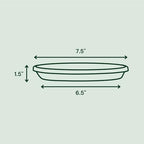 Bloem Terra Plastic Saucer Tray for 8" Terra Planters, Black, 6-Pack - Image 2