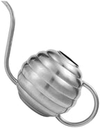 Toyvian Stainless Steel Garden Watering Can for Indoor Outdoor Plants Metal Watering Pot with Large Capacity for Office Home Garden Use Silver by Toyvian