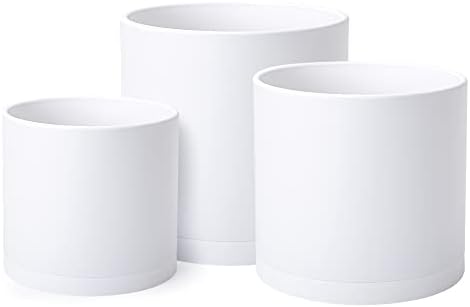 D'vine Dev 3-Pack Plastic Pots & Saucers, 8/10/12 in, White, 74-V-A-5 by DvineDevPlanterPotsandStand