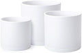 D'vine Dev 3-Pack Plastic Pots & Saucers, 8/10/12 in, White, 74-V-A-5 by DvineDevPlanterPotsandStand