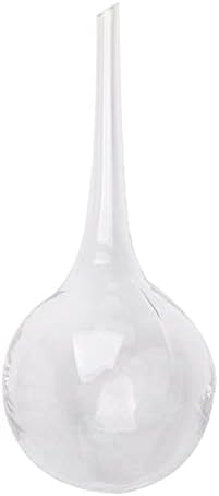 Aqua Hand Blown Glass Water Bulbs Plant Flower Watering Globes Cans Glass Ball for Home Decor (2, Clear) by ACEVER--LivewithSmile