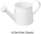 1L Retro Metal Painted Watering Can with Long Spout & Handle - Image 6