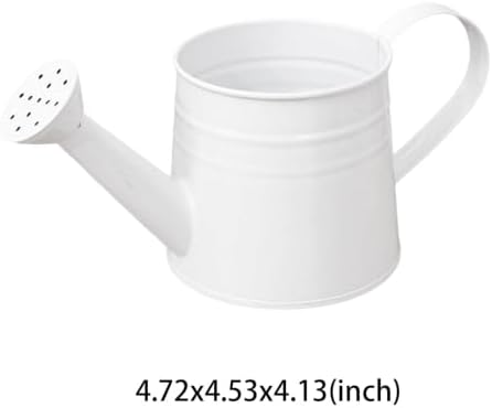 1L Retro Metal Painted Watering Can with Long Spout & Handle - Image 6