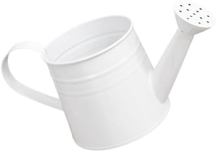1L Retro Metal Painted Watering Can with Long Spout & Handle - Image 7