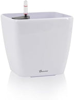 Dexceder 11x10 Self Watering Planter (White High Gloss) by Dexceder