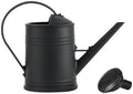 0.5 Gallon Plant Watering Can,Plastic Long Spout Watering Can with Detachable Sprinkler Head and Handles,Small Watering Can for House Succulent Bonsai Garden Flower Office Indoor Plants by KELINFONG