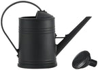 0.5 Gallon Plant Watering Can,Plastic Long Spout Watering Can with Detachable Sprinkler Head and Handles,Small Watering Can for House Succulent Bonsai Garden Flower Office Indoor Plants by KELINFONG