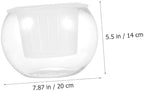 BESTonZON Hydroponic Glass Vase Set 20pcs Round Globe Glass Flower Container Decorative Planter Pots for Indoor Plant Propagation and Home Table Centerpiece - Image 2
