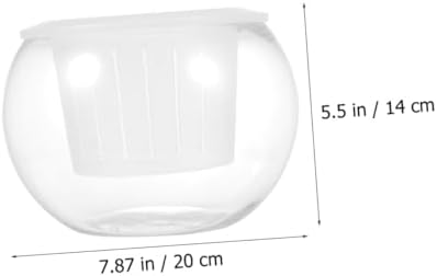 BESTonZON Hydroponic Glass Vase Set 20pcs Round Globe Glass Flower Container Decorative Planter Pots for Indoor Plant Propagation and Home Table Centerpiece - Image 2