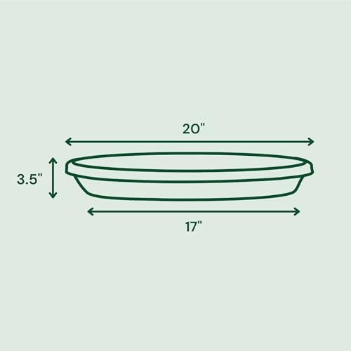 Bloem Terra Plastic Saucer Tray for 24" Terra Planter, Vanilla Bean, 2-Pack - Image 3
