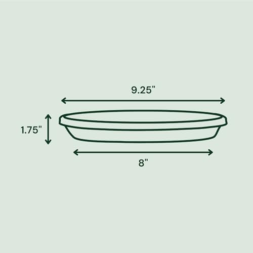 Bloem Terra Plastic Saucer Tray for 10" Terra Planters, Charcoal, 6-Pack - Image 2