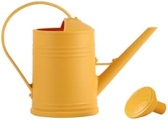 0.5 Gallon Plant Watering Can,Plastic Long Spout Watering Can with Detachable Sprinkler Head and Handles,Small Watering Can for House Succulent Bonsai Garden Flower Office Indoor Plants by KELINFONG