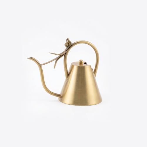 Brass Gold Watering Can for Indoor Plants and Garden by CatchDragon