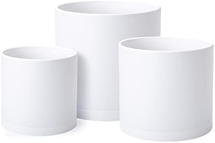 D'vine Dev 3-Pack Plastic Pots & Saucers, 6.5/8/10 in, White, 74-V-A-4 by DvineDevPlanterPotsandStand