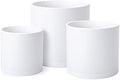 D'vine Dev 3-Pack Plastic Pots & Saucers, 6.5/8/10 in, White, 74-V-A-4 by DvineDevPlanterPotsandStand
