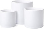 D'vine Dev 3-Pack Plastic Pots & Saucers, 6.5/8/10 in, White, 74-V-A-4 by DvineDevPlanterPotsandStand