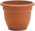 Bloem Ariana 12" Plastic Self-Watering Planter, Terra Cotta, 2-Pack - Image 7
