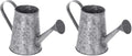 MyGift 5 Inch Mini Rustic Galvanized Metal Decorative Vase in Vintage Style Watering Can Design for Dried Flowers and Artificial Plants - Handcrafted in India (Pack of 2) by MyGiftHome