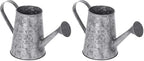 MyGift 5 Inch Mini Rustic Galvanized Metal Decorative Vase in Vintage Style Watering Can Design for Dried Flowers and Artificial Plants - Handcrafted in India (Pack of 2) by MyGiftHome