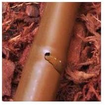 Rocky Mountain Goods Drip Hose Emitter Tubing 100 Foot 1/2” - Brown Seeping Drip Soaker Hose with Emitter Hole Every 18” - More Reliable and Consistent Watering - Saves 80% more Water - Image 5
