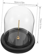 Mikinona Small Glass Dome Display Case with Black Base for Decor - Image 2