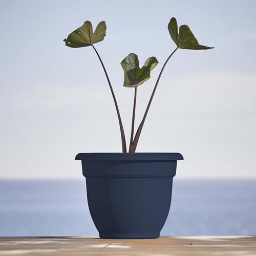 Bloem Ariana 12" Navy Round Self Watering Planter Pot - Rolled Rim Plastic Resin Indoor or Outdoor Gardening Planter with Drainage Holes, Made in USA - Image 2