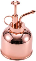 300ml Plant Mister Watering Bottle Stainless Steel Vintage with Pump by MAGICLULU