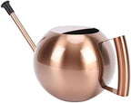 Dpofirs 1000ml Stainless Steel Watering Can | Detachable Long Spout for Indoor Plants, Home Garden & Potted Flowers, Ergonomic Handle (Bronze) - Image 7
