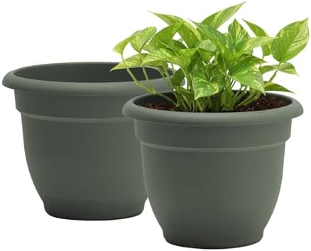 Bloem Ariana 12" Plastic Self-Watering Planter, Basil, 2-Pack by Bloem